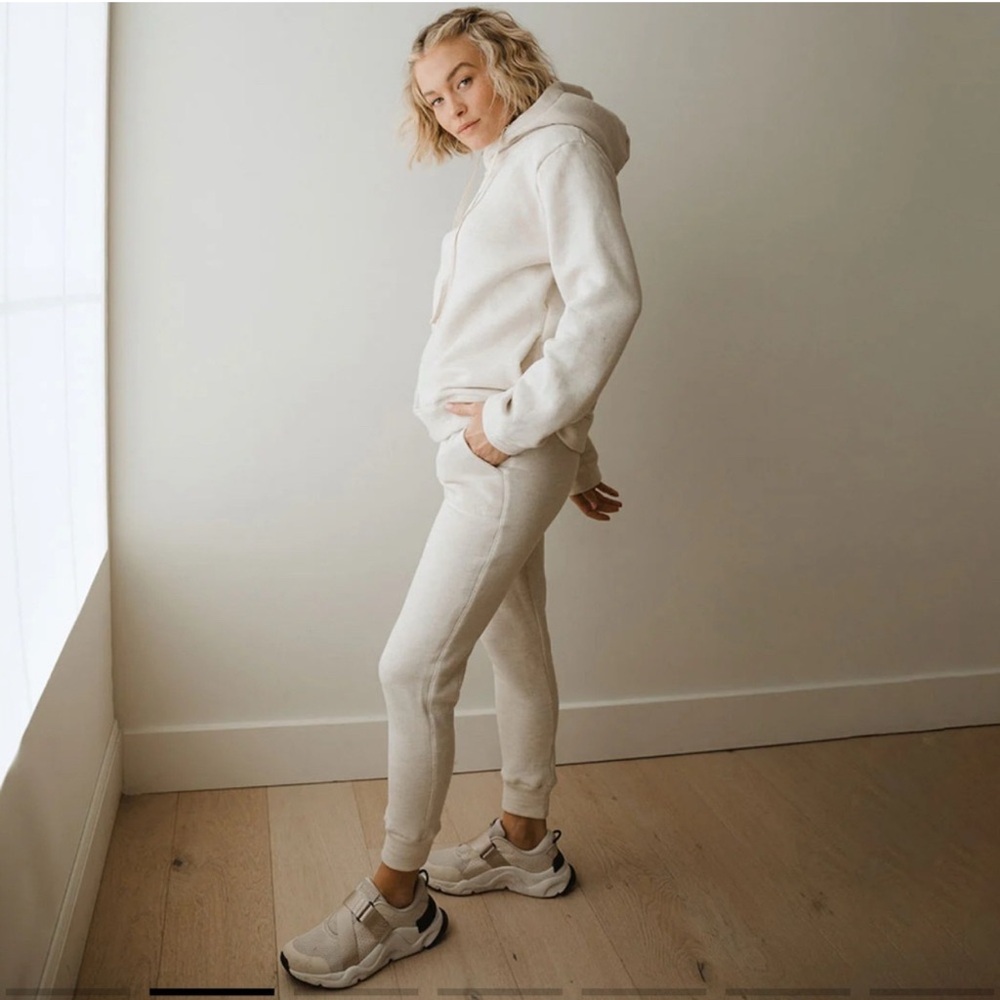 Albion Fit Boyfriend Hoodie in Birch